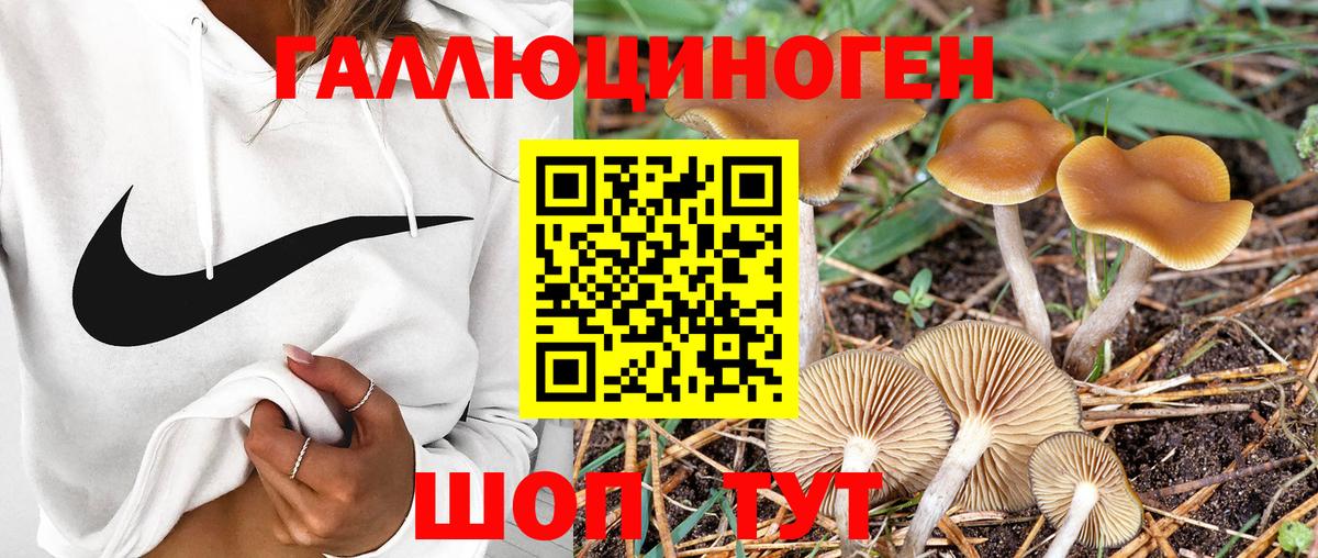 Галлюциногенные грибы ЛСД  Галлюциногенные грибы GOLDEN TEACHER  Вход с VPN  Вязники 