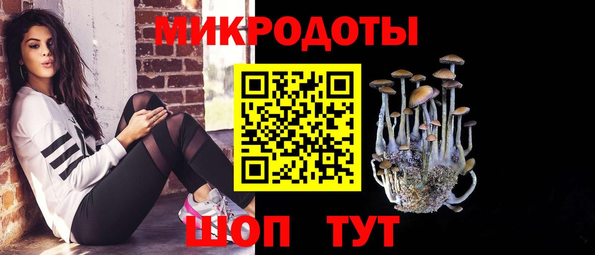 Псилоцибиновые грибы Cubensis Вязники